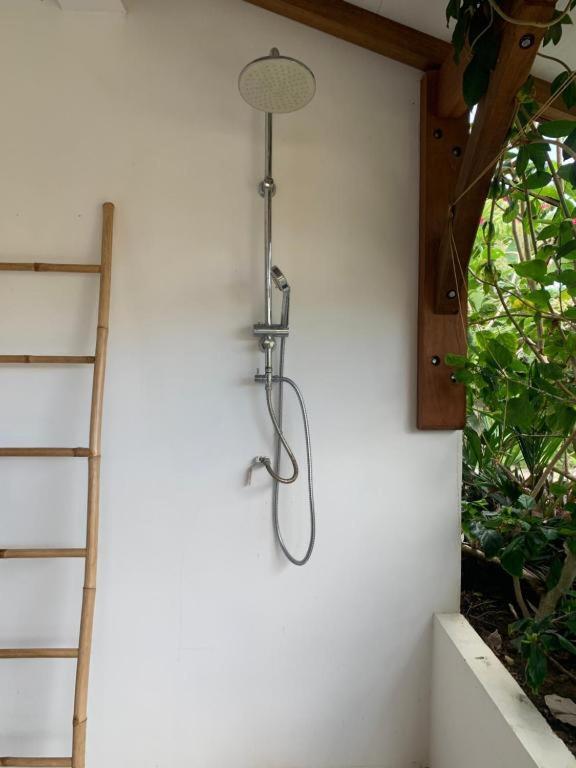 Le Tropical Appartement 1 Ou 2 Chambres Les Anses-d'Arlet Exterior foto